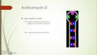 Actinomycin D Informational Video [upl. by Seitz]