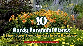 Top 10 Perennial Plants That Turn Your Garden Into a Rainbow 🌸🌈 🌻 [upl. by Sjoberg]