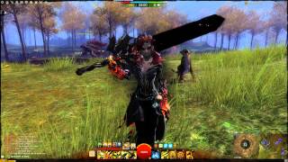 crazzy good ranger build for wvw crit beast master gw2 with twilight and kudzu [upl. by Dempsey486]