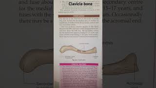 clavicleside determination peculiaritiesfeaturesattachments ossification clinical anatomy📚📝 [upl. by Stephenson321]