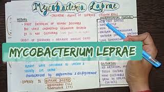 Mycobacterium Leprae  Part 1  Clinical features  diagnosis amp treatment  MICROBIOLOGY [upl. by Ellenar]