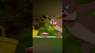 Tom et Jerry en Français 🇫🇷  Un piquenique idéal 🧺  shorts  WB Kids Français [upl. by Junina326]