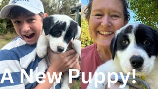 We Got a Puppy [upl. by Jaymie]