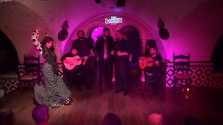 Águeda Saavedra en Tablao Flamenco Cordobes 10072018 [upl. by Nennahs717]