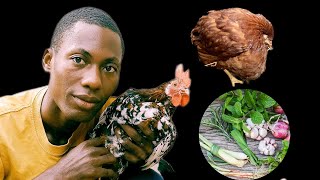 DONT BUY CHICKEN MEDICINE AGAIN BEST HOME REMEDIES FOR SICK CHICKENS  local chicken farming [upl. by Eirak825]