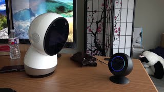 Face Off Jibo versus Alexa Echo Spot [upl. by Tanney804]