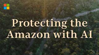 Protecting the Amazon from deforestation with Microsoft AI [upl. by Cousin]