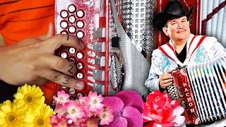 La feria de las flores acordeon Con adornos [upl. by Bright]