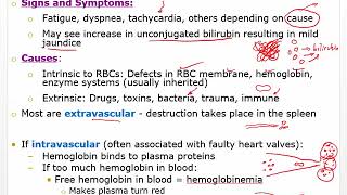 Ch 21 Hematologic Anemia Leukemia and Clotting disorders [upl. by Ahset]