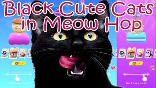 Black Cute Cats 🐈 in Meow Hop 🎶 Waka Waka vs Faded vs Memories vs My Happy Song [upl. by Tirma350]