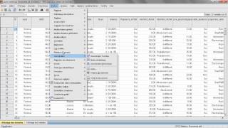 Formation SPSS La Corrélation PearsonSpearman [upl. by Ajram]