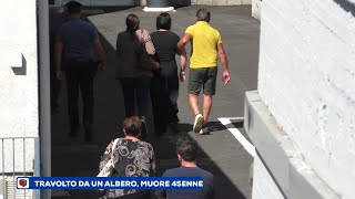 Tragedia a Montecalvo Irpino Travolto da un albero muore 45enne Sconvolta la comunità [upl. by Aicat]