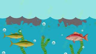 What is eutrophication [upl. by Onivla]