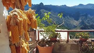 Gran Canaria unterwegs auf der Insel bei Traumwetter [upl. by Delmar]