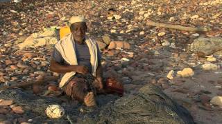 Socotra The Last Stand part1 [upl. by Yared]