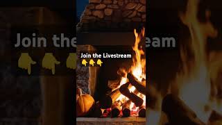 Live 🔴 Cozy Fireplace NO ADS [upl. by Ivar]