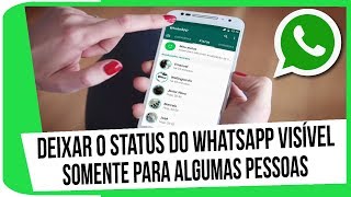 Como Deixar o Status do WhatsApp Visível Somente Para Algumas Pessoas [upl. by Lliw]