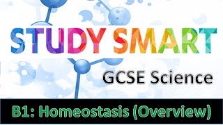 B1 Homeostasis Overview EDEXCELAQA [upl. by Htrag]