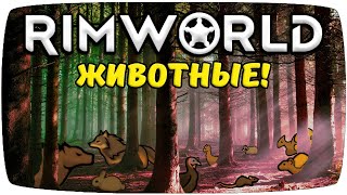 Животные Rimworld [upl. by Silvestro524]