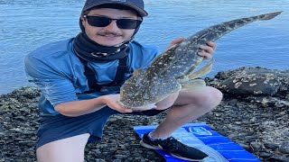 Awesome Flatty amp Bream session  Windang Fishing  Lake Illawarra [upl. by Enileme277]