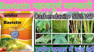 Carbendazim  Bavistin  bavistin fungicide uses  bavistin fungicide  carbendazim 50 wp uses [upl. by Gaidano]