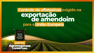 Controle de aflatoxinas exigido na exportação de amendoim para a União Europeia [upl. by Stinky]