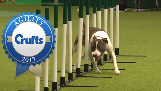 Agility  Crufts Team Medium Final Part 1  Crufts 2017 [upl. by Amado152]