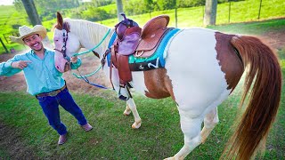 COMPREI TODOS OS ACESSÓRIOS PRO MEU CAVALO NOVO 🥰 [upl. by Cassilda885]