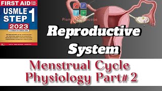 Menstrual Cycle in Hindi Part 2Physiology from First Aid USMLE step 1FCPSUrduHindi [upl. by Hueston]