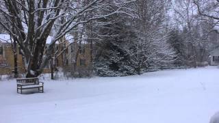 Marthas Vineyard snowfall [upl. by Fenn764]