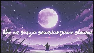 Nee En Sarga Soundaryame Slowed  FtHK [upl. by Risley]