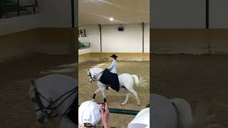 Spectacular Andalusian Horse and Flamingo Show in Malaga travel [upl. by Pacian139]