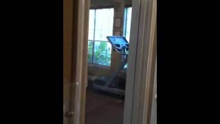 Guy singing on treadmill [upl. by Gale914]