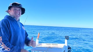 Reef Fishing Masthead Island Queensland Great Barrier Reef [upl. by Postman]