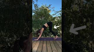 Downward facing dog tutorial [upl. by Barolet]