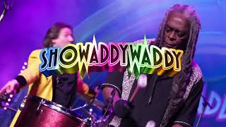 Showaddywaddy 2024 [upl. by Atrebor651]