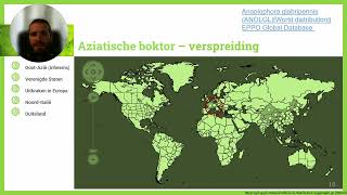 Presentatie Aziatische boktor [upl. by Batruk784]