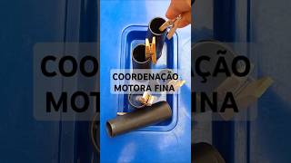 ATIVIDADE LÚDICA PARA TRABALHAR A COORDENAÇÃO MOTORA FINA  atividades tea brincar [upl. by Colvin]