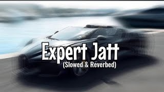 Expert Jatt Slowed amp Reverbed song lofisong lofi remix music lofihiphop panjabisong status [upl. by Sivartal65]