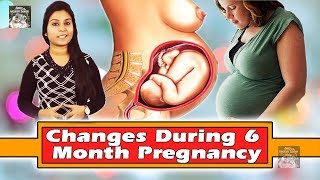 Changes During 6 Month Pregnancy  गर्भावस्था के छटवे महीने में होने वाले परिवर्तन  Baby Health [upl. by Kornher]