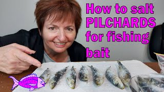 A step by step guide on how to salt pilchards for fishing bait  Its EASY [upl. by Sturges]