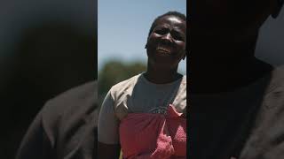 Zimbabwe Women Farmers Thrive with Chaya  Support Their Journey [upl. by Ariat480]