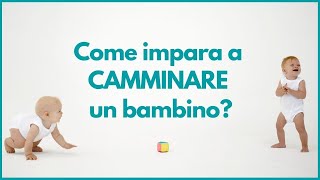 Primi Passi Neonato  Come aiutare il bambino a Camminare [upl. by Lan]