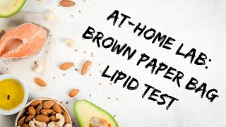 Athome Lab How do I test for lipids Brown Paper Bag Method [upl. by Aydiv683]