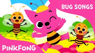 Bugs Bugs Bugs  Bug Songs  PINKFONG Songs [upl. by Emeric103]