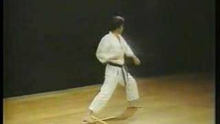 Heian Shodan  Shotokan Karate [upl. by Ominoreg]