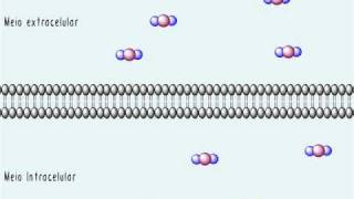 A membrana plasmática  Parte 2 Transporte pela membrana Difusão simples e facilitada [upl. by Uta]