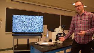 Petrographic Microscopy  thin sections demonstration [upl. by Linetta705]