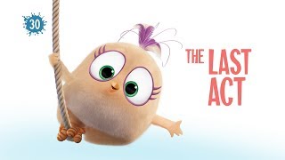 Angry Birds Blues  The Last Act  Ep30 S1 [upl. by Ilanos52]