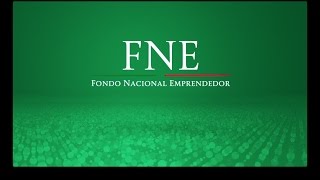 Fondo Nacional Emprendedor 2017 [upl. by Maker235]